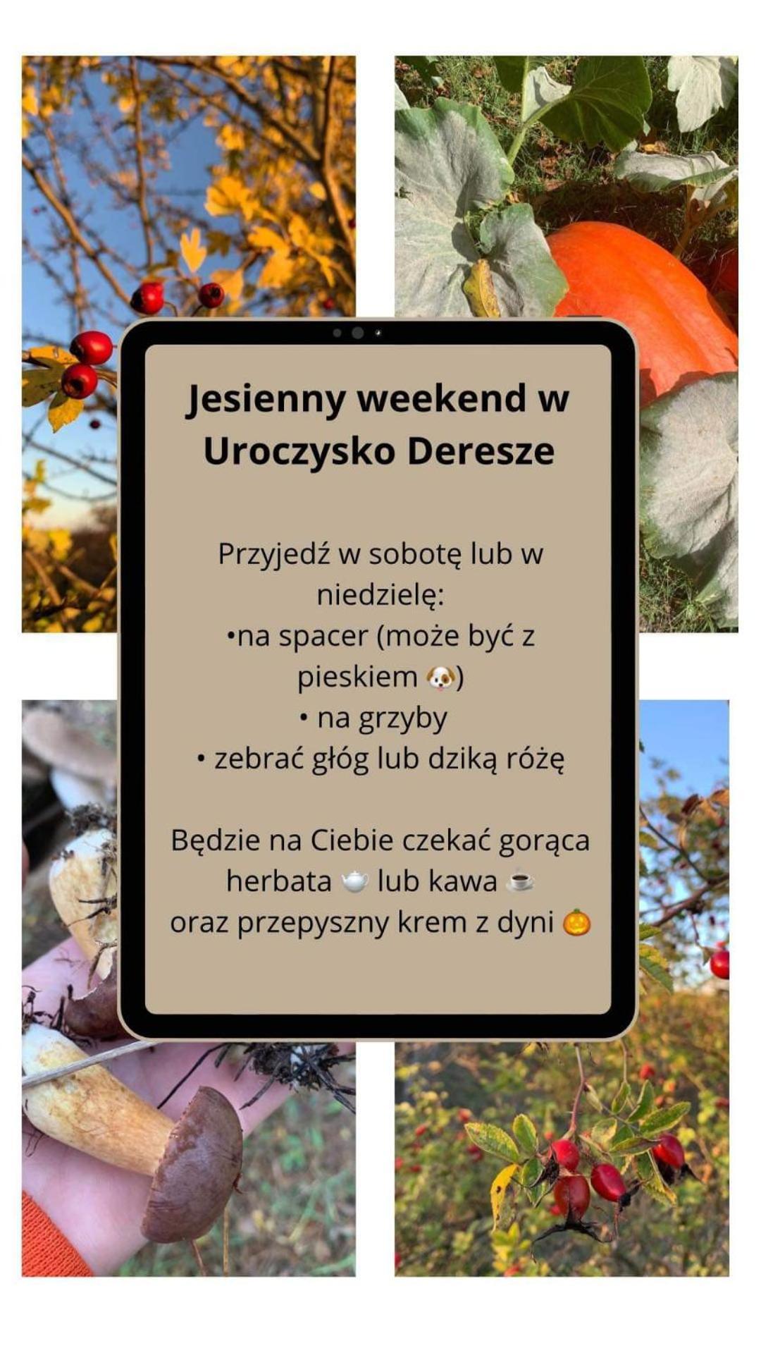 Uroczysko Deresze Βίλα Gilawy Εξωτερικό φωτογραφία